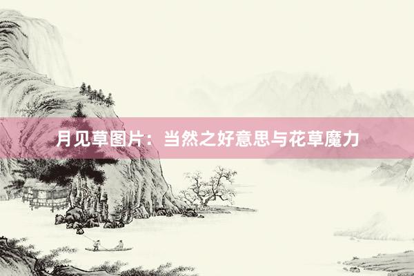 月见草图片：当然之好意思与花草魔力